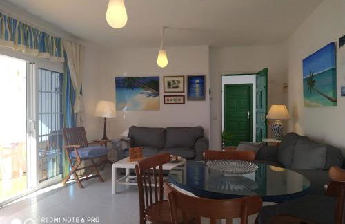 Caracola azul - Foto 17