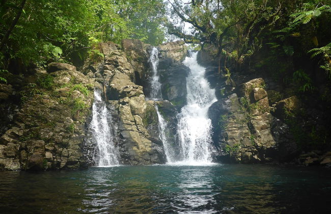 Taveuni Palms - Photo 50