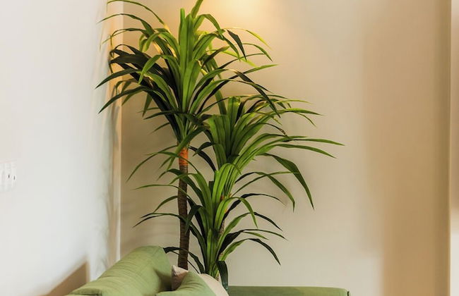 Stone and Sea Villas - Foto 47