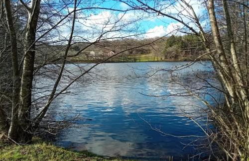 Peaceful Retreat - Foto 16