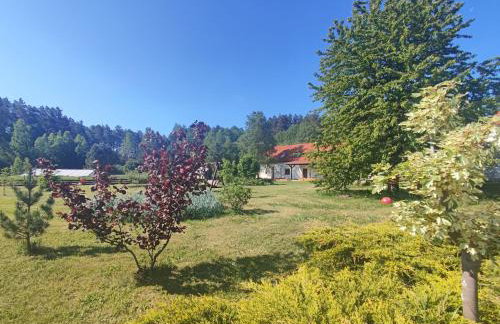 Ostoja Leśna Cisza - Foto 29