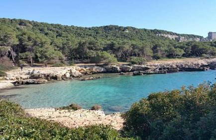 Villa Cenate - Foto 16