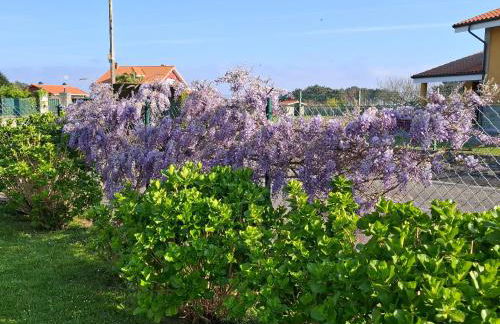Silencio y tranquilidad - Foto 64