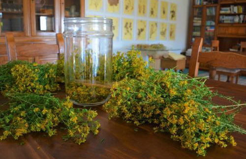 Casale Dionisia, Santa Maria di Castellabate - Foto 78