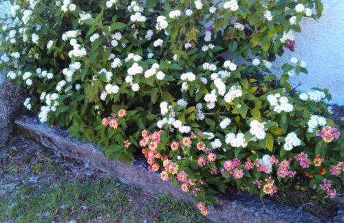 Casa Do Fiscal - Foto 29