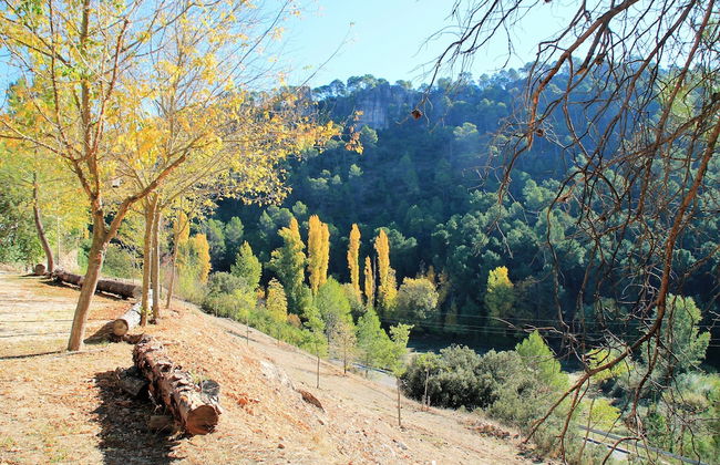 Alojamiento Rural Las Maravillas - Foto 46