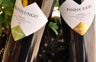 Morami Wine Agriturismo - Foto 19