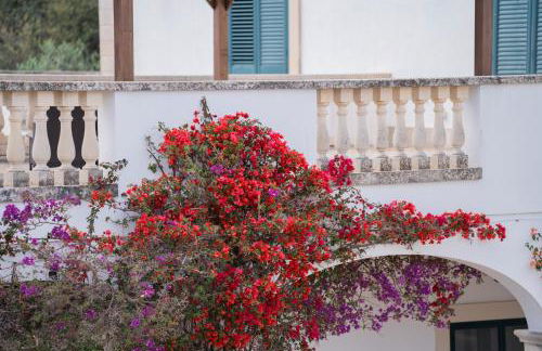 Masseria San Biagio - Foto 64