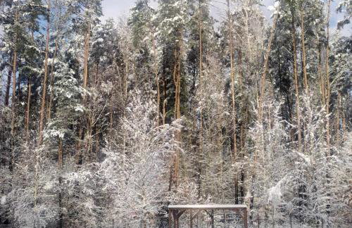 Zbychowskie Zacisze - Foto 18