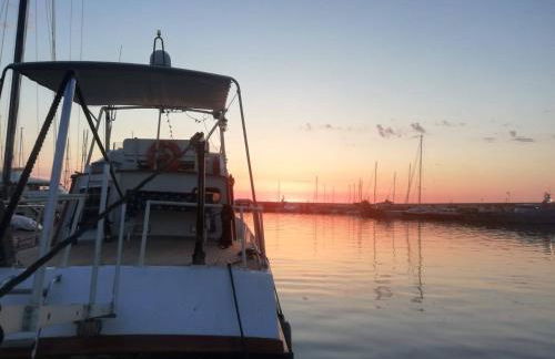 Biddizzi Apartment - Foto 50