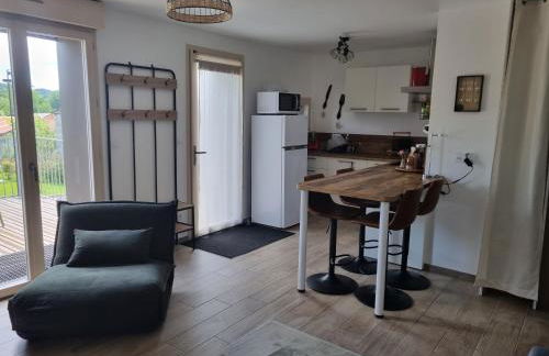 APT T2 à 500M du centre ville - Foto 17