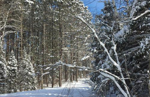 Camp Farrell House - Foto 39