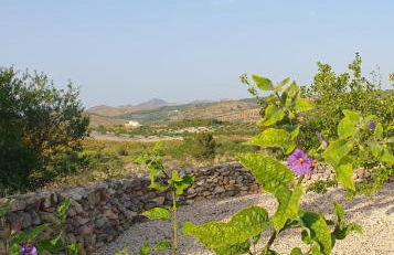 Vakantiehuis Casa de Musica - Foto 10