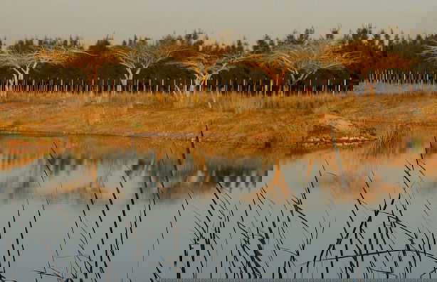 Kwetu Guest Farm - Photo 76