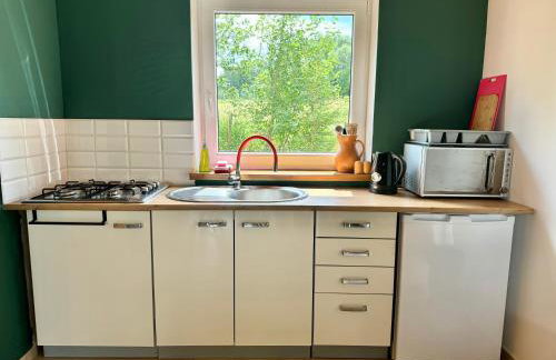 Leszczynowa Górka -Mazurskie Siedlisko w Silcu - Foto 15