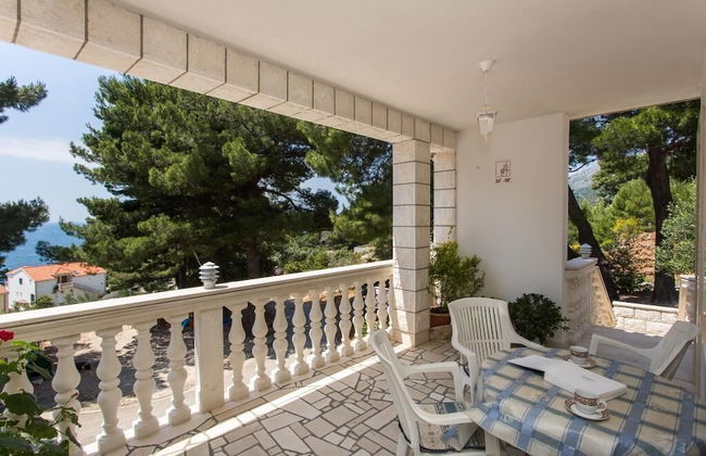 Apartments Villa Dingac - Borak - Photo 45