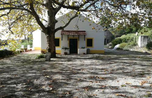 Montejunto Villas - Casa do Plátano - Foto 19