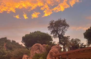 Casa La Gavina Blanca - Foto 4