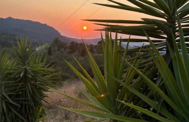 Dream House - Foto 31