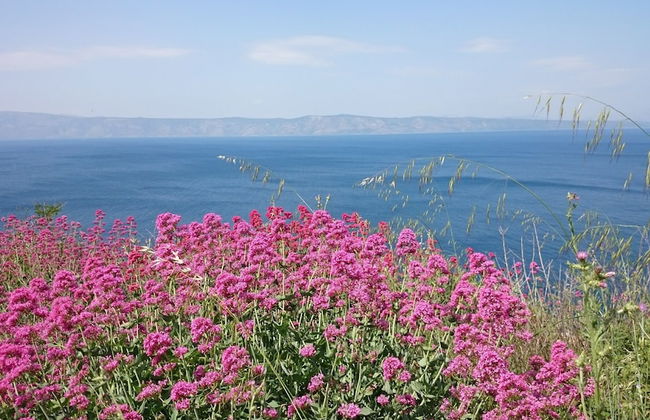 House Pod Humom - Foto 48