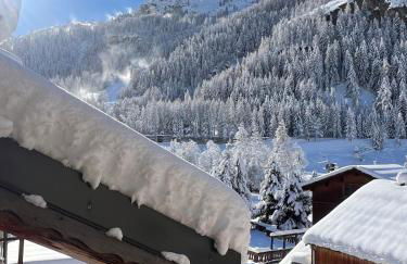 Apartment - fireplace & terrace - 2 min to slopes - Foto 9