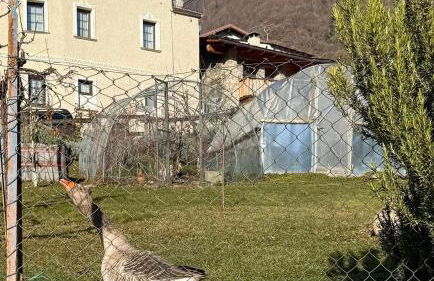 Tirano Living - Corte Righi - Ai Monti 42 - Foto 12