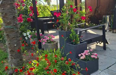 Marcowe Kąty-Przestrzeń na wypoczynek, odpocznij w ciszy i naturze, tylko 7 minut od Sandomierza - Foto 32