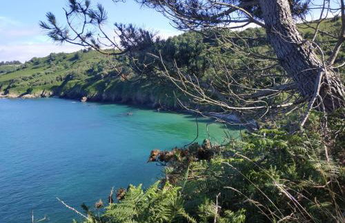 Maison cosy vue mer à Guimaëc - Foto 23