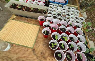 Half Moon Lake property - Foto 26