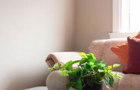 Airth House - Foto 18