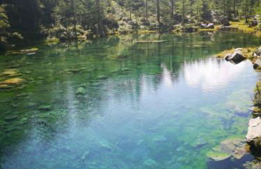 La Beccaccia - Photo 47