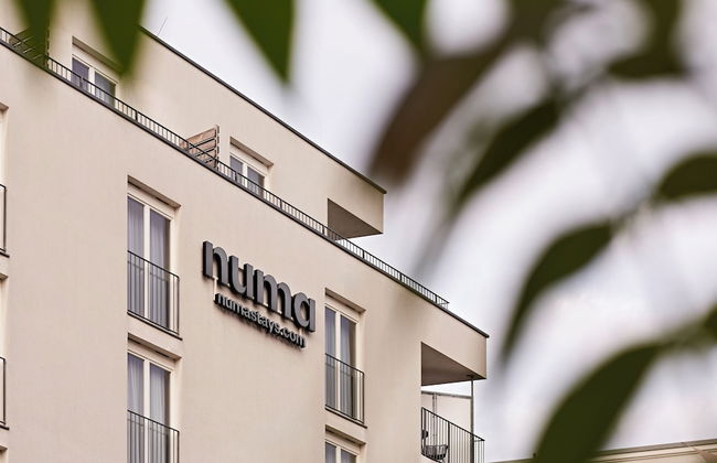 Numa Berlin Boxer - Foto 40