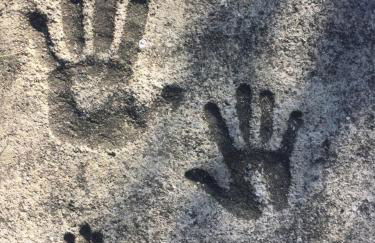 Gîte La Cerise Qui Rit - Photo 37