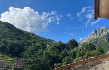 Alloggio nel Parco Alpi Apuane - Carnevale di Viareggio - Foto 15