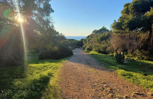 Casa Porto Selvaggio - Foto 49