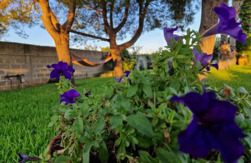 Villa Linda - Foto 13