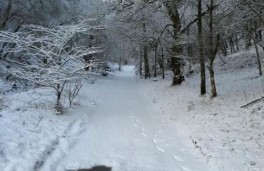 The Wee Thistle Loch Ness - Foto 23