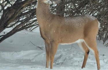 World Cup Stay Close to MetLife Stadium NYC - Foto 18