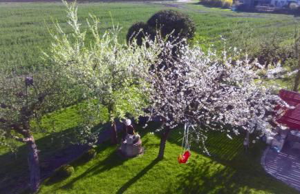 Ferienwohnung "Auszeit" - Foto 29