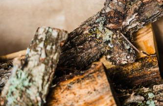 Μάραθος - Foto 21