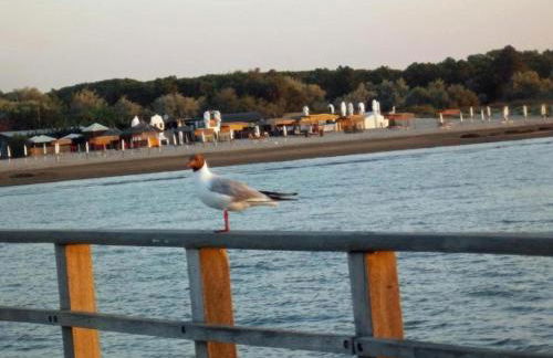 Characteristic Apartment in Codigoro With Pool - Foto 66