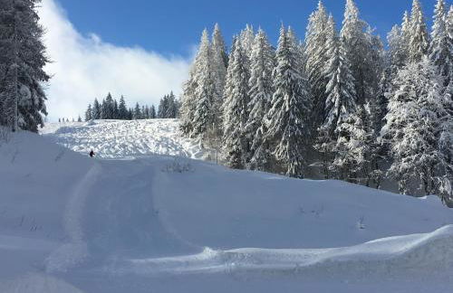 Ferienwohnung Heimweg - Foto 52