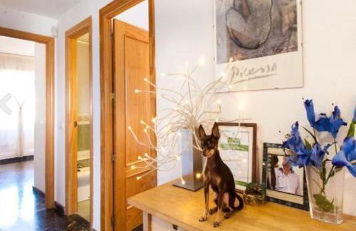 Penthouse with Private Roof terrace and jacuzzi - Photo 24