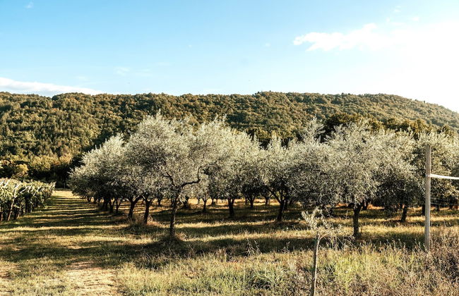 Tourist farm RED FAIRYTALE - Foto 56
