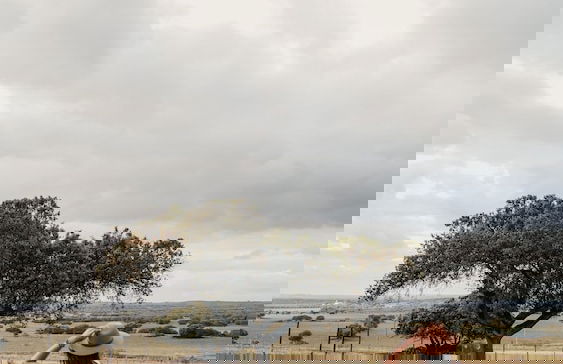 Montimerso Skyscape Country House - Foto 66