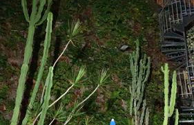 Casa delle Galee - Foto 55