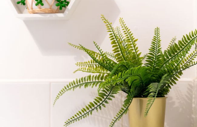 Walker Suite No52 - Donnini Apartments - Foto 8