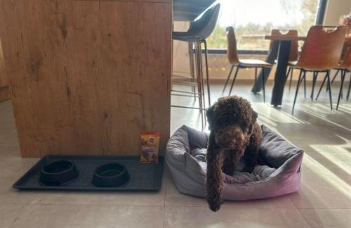 Villa Balun in Orihi - 3 bedrooms - pool - garden - sauna - Foto 57