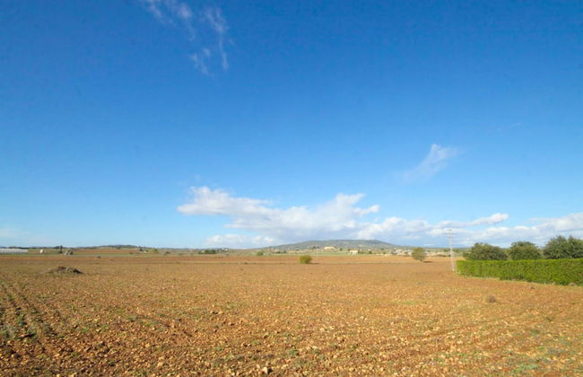 Aubadallet in Vilafranca de Bonany - Foto 31