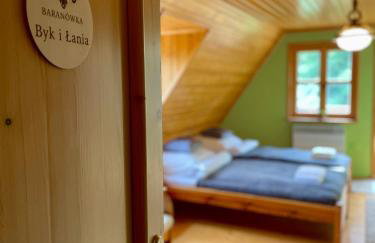 Baranówka - Foto 49